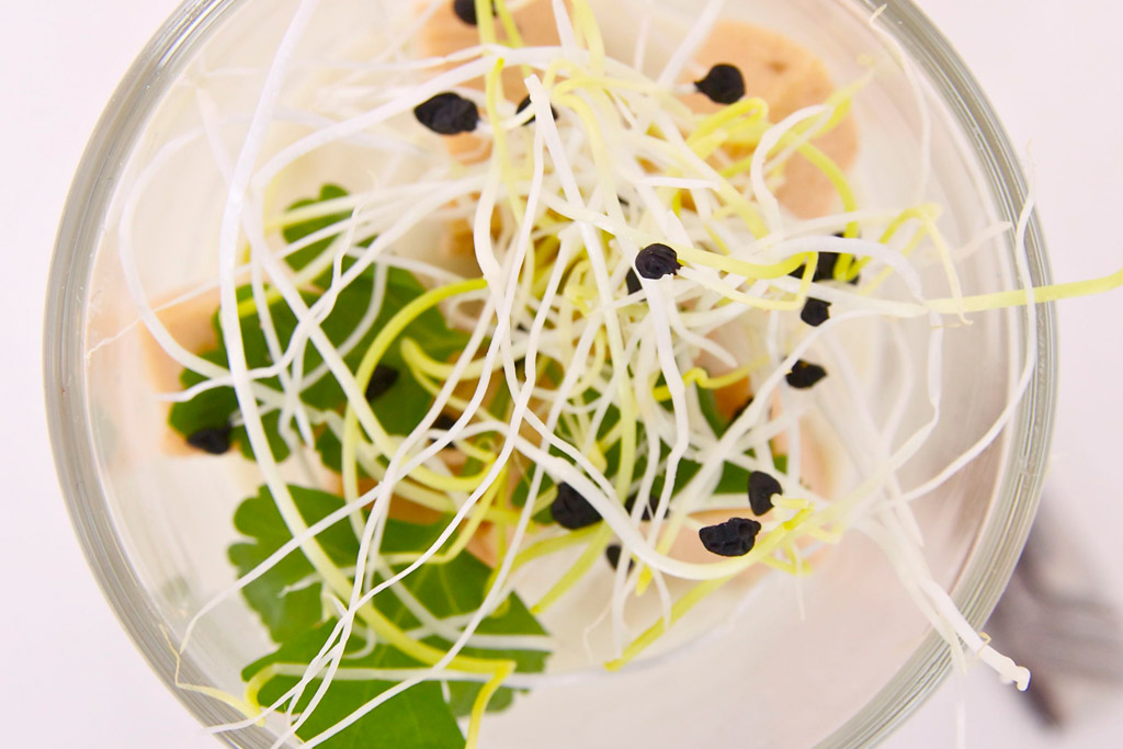 Aardperencréme met Faux Gras