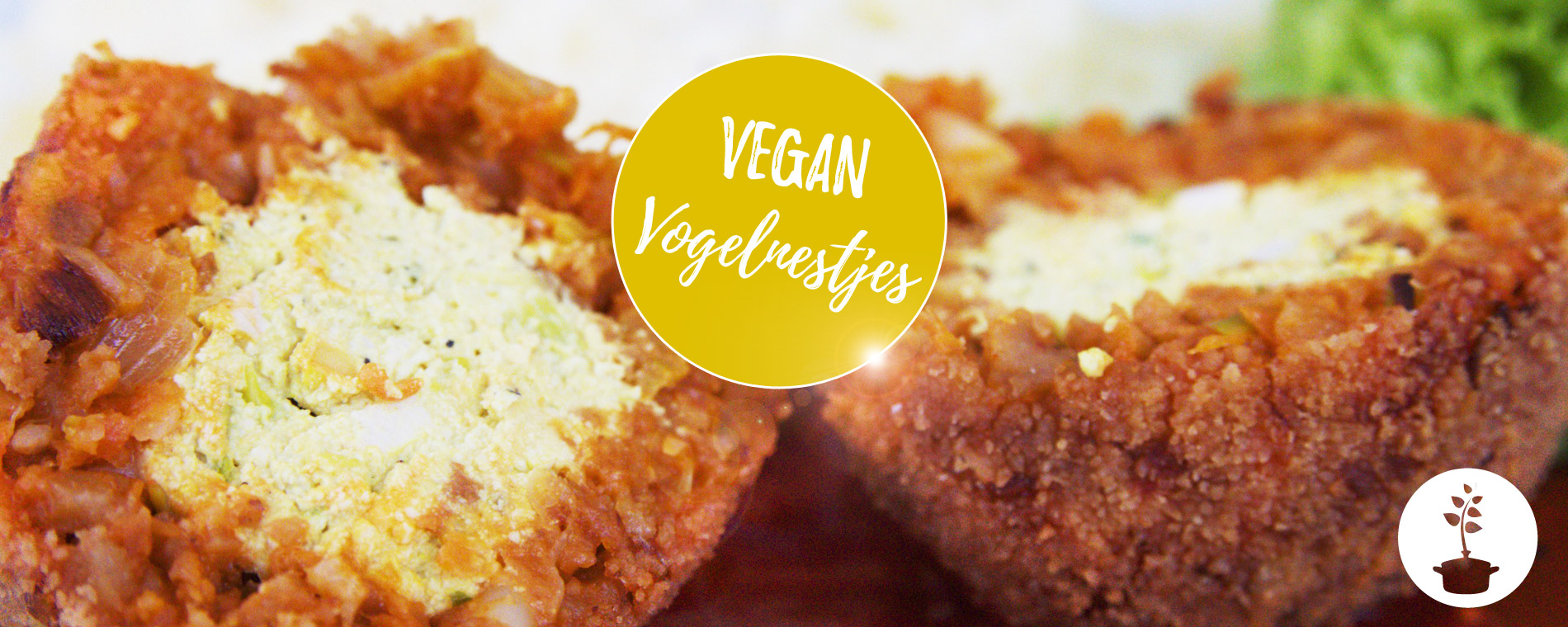 Vegan vogelnestjes - vegetarisch