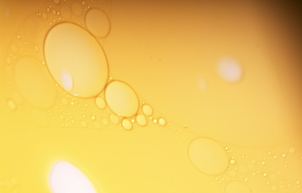 frituren plantaardige olie welke