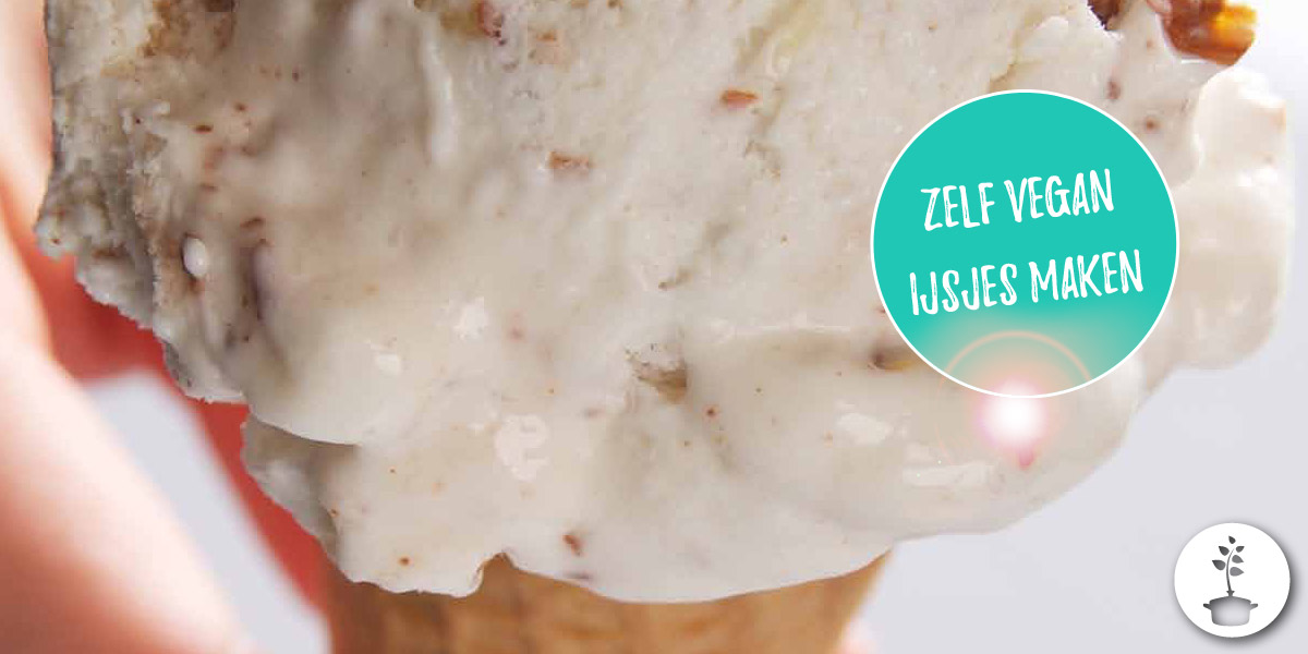 vegan ijs maken