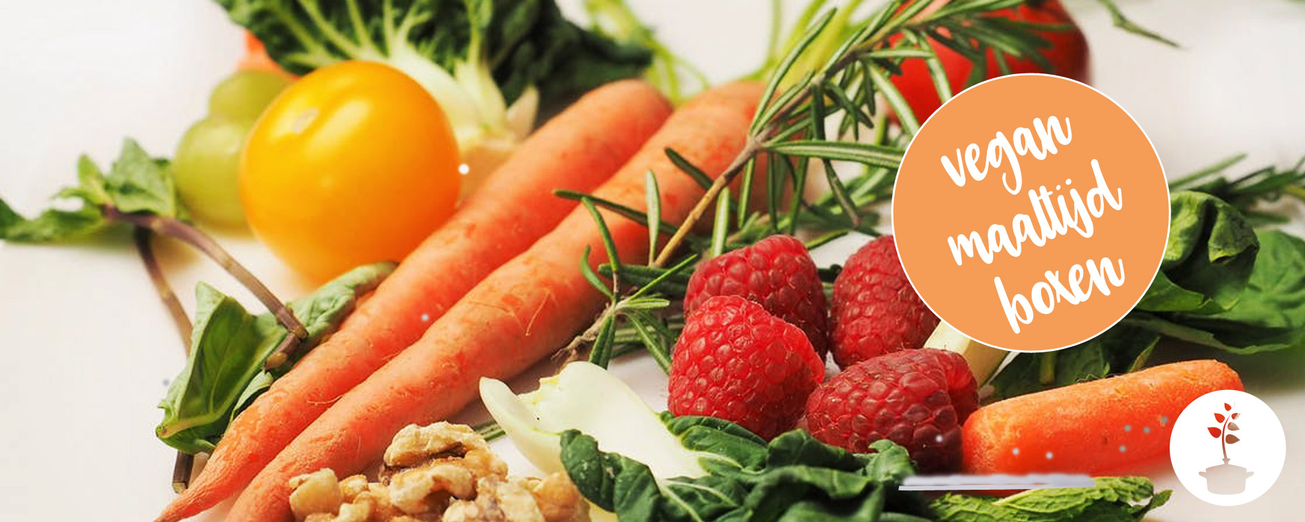 Veganistische maaltijdboxen