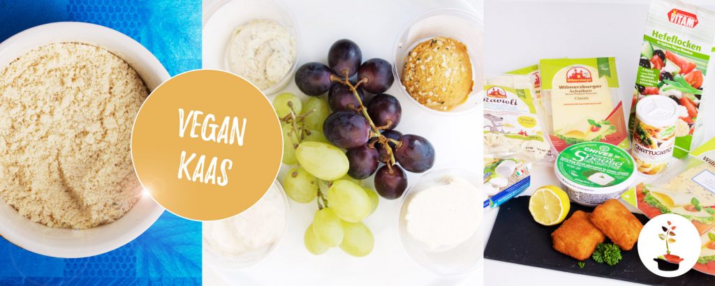 Vegan kaas - wat is het?