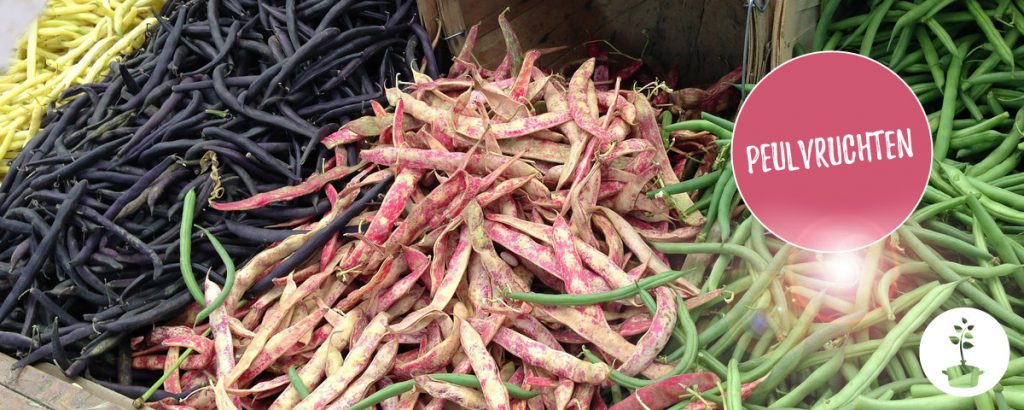Peulvruchten - wat zijn ze, hoe bereiden