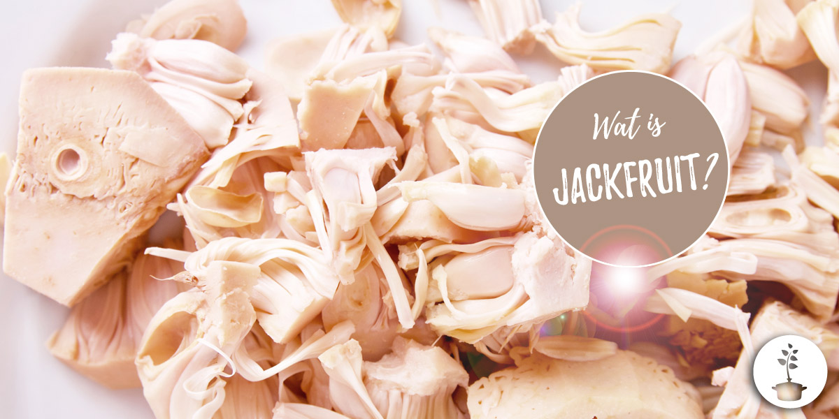 Jackfruit - wat is het, hoe bereiden en hoe eten