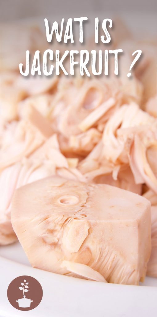 Wat is jackfruit?