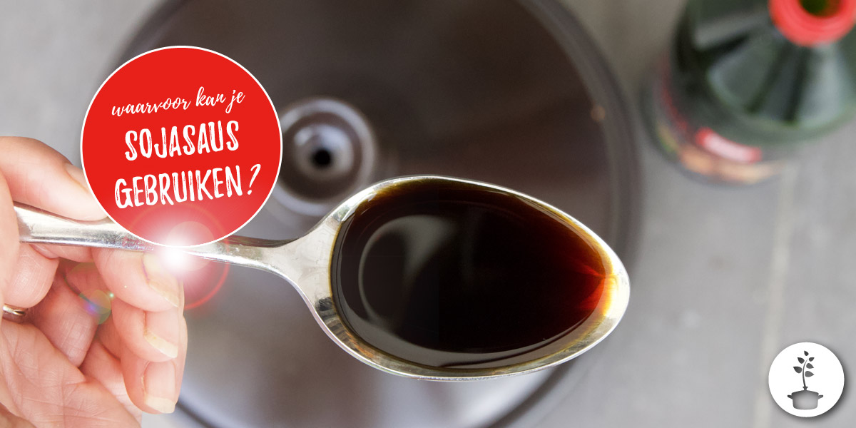 Sojasaus gebruiken - 12 manieren