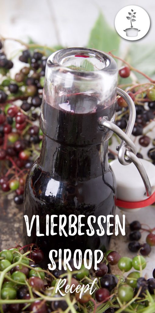 Vlierbessensiroop maken - gezond recept