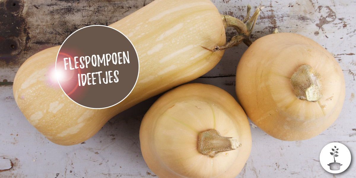 Wat doen met flespompoen - ideetjes