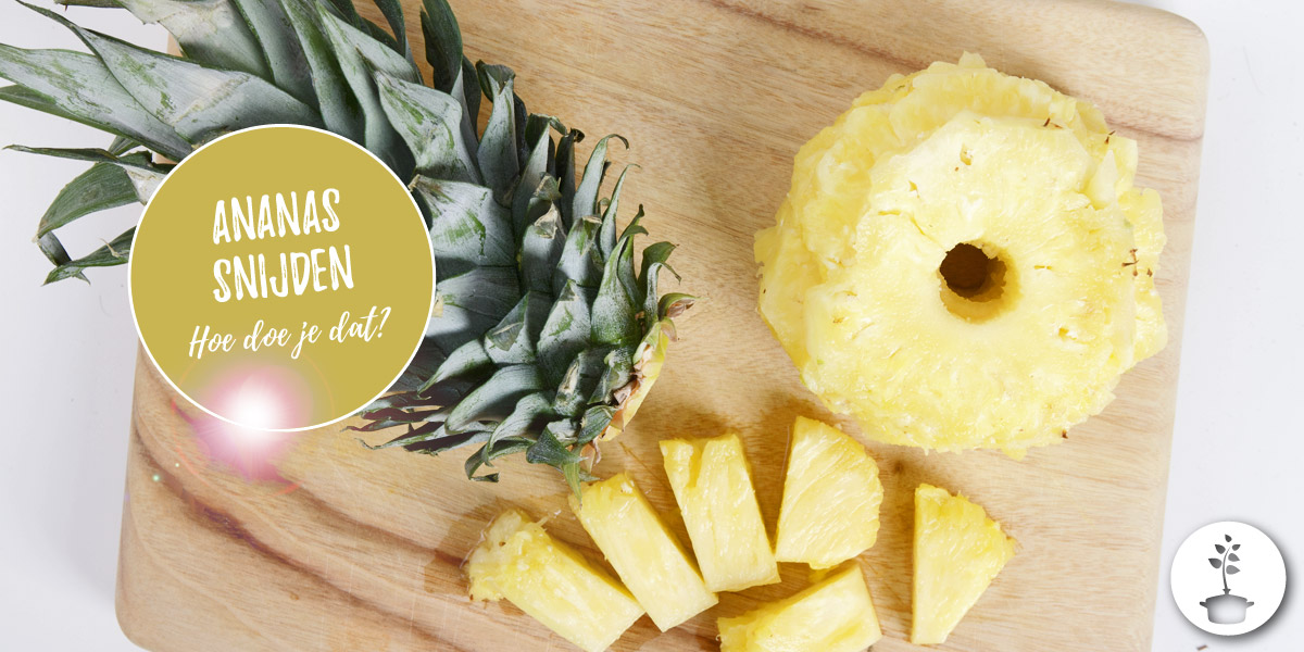 Hoe snijdt je een verse ananas?