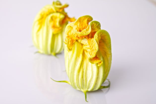 courgettebloemen