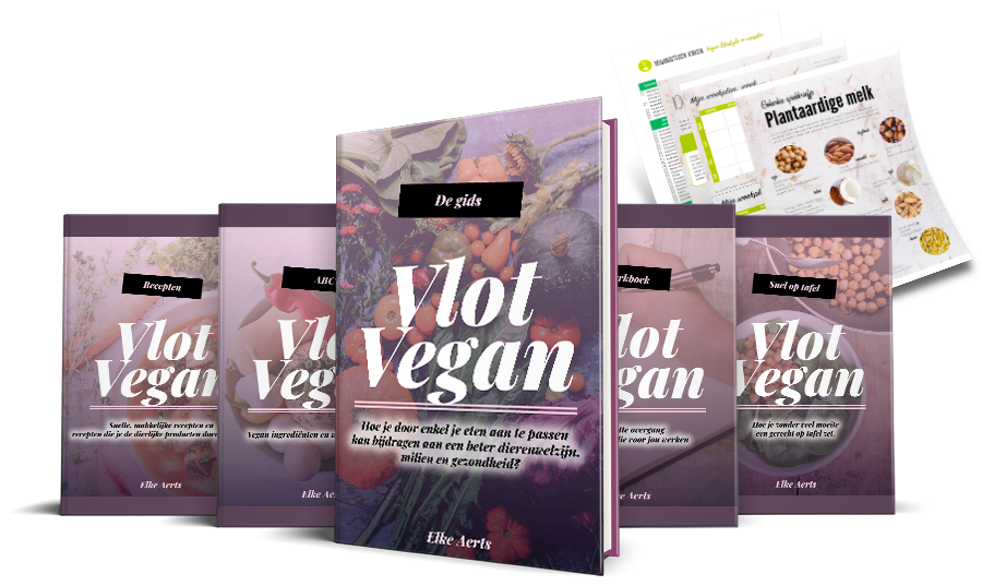 vlot vegan bundel