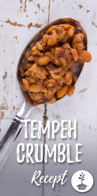 Tempeh crumble recept vegan