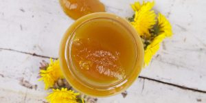 paardenbloem gelei maken recept