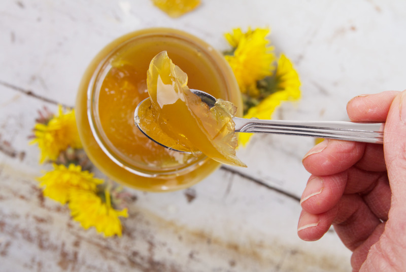 Paardenbloemgelei recept